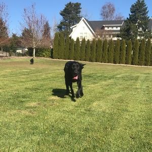 Meet your Posher, Savannah